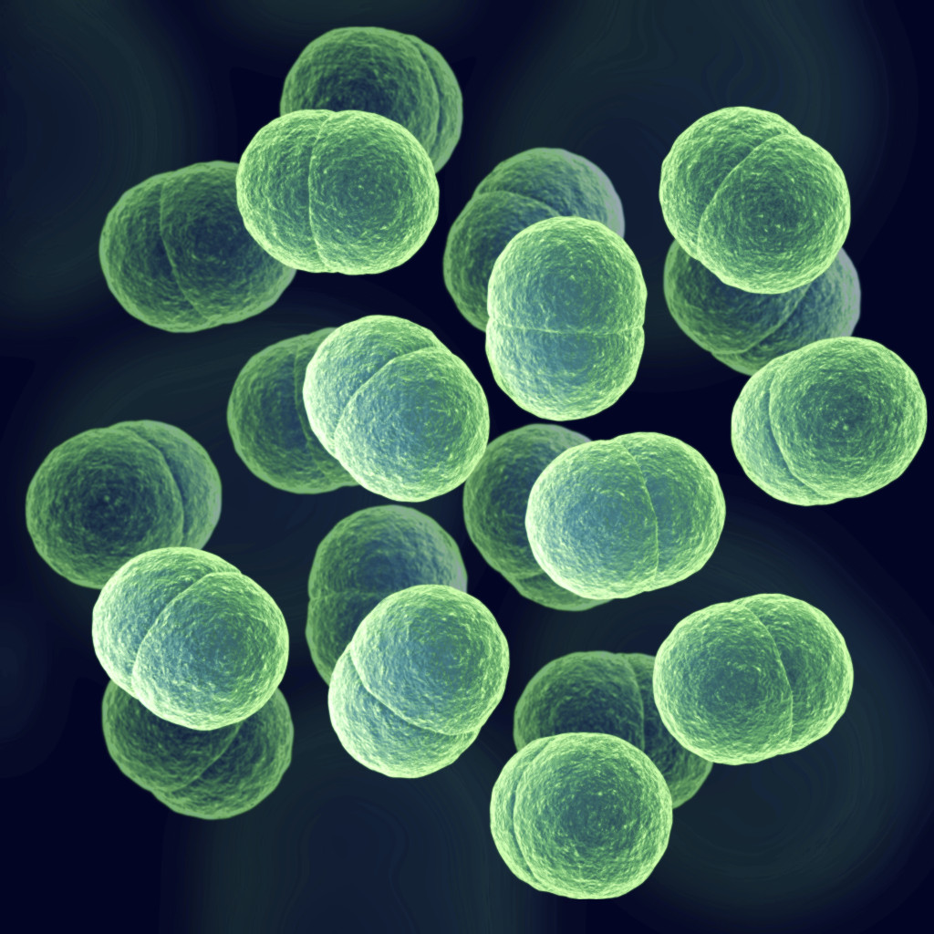 Environmental Isolate Case Files Staphylococcus Epidermidis