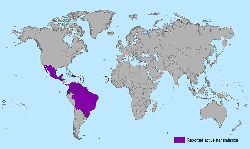 Areas with Zika virus (source: CDC)