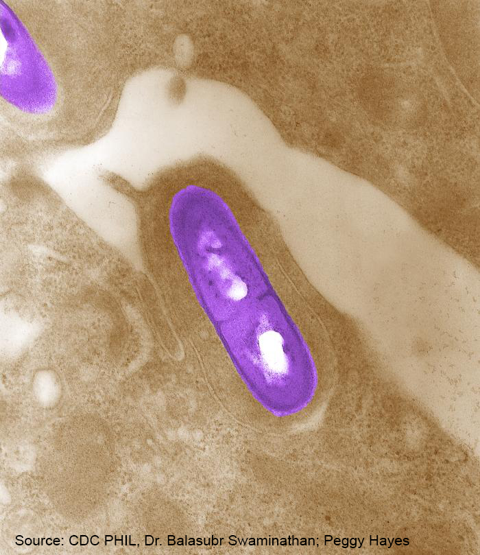 Listeria_CDC