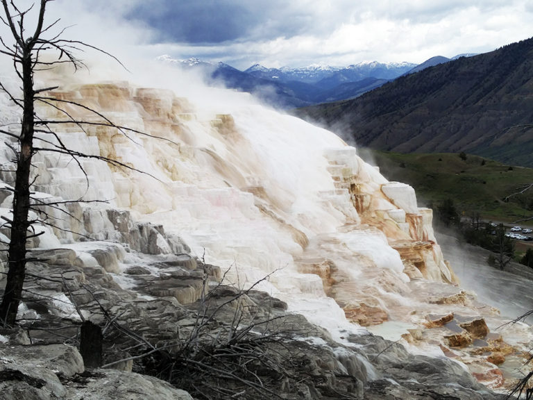 of Yellowstone National Park Microbiologics Blog
