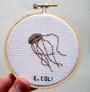 e-coli-cross-stitch