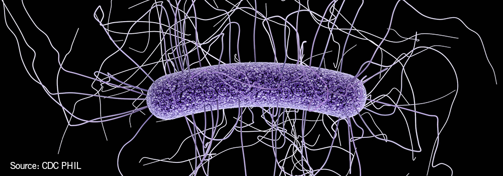 A Closer Look at C. difficile from the MN Department of Health