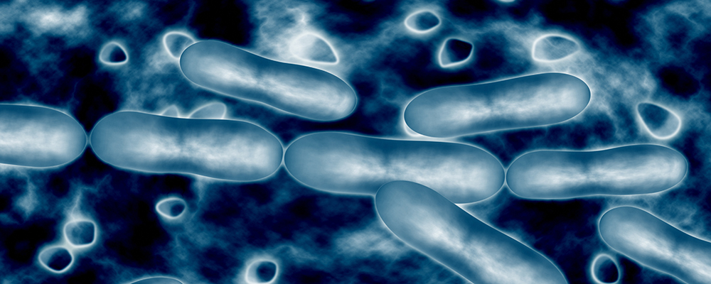 pluralibacter gergoviae susceptibility