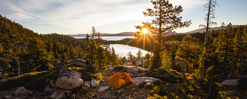 Microorganisms You’ll Meet on Your Next Camping Trip