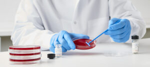 7 Reasons Why Your Lab Should Perform Growth Promotion Testing ...