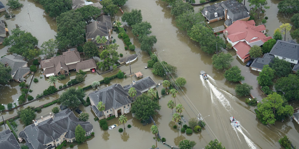 Hurricane Aftermath 8 Pathogens That Pose Health Risks Microbiologics Blog