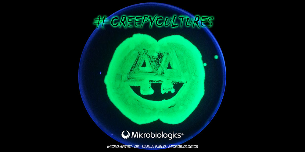 #CreepyCultures is Back!