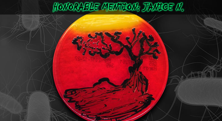 65. Janice N_Honorable Mention