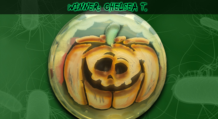 Chelsea-T-Winner