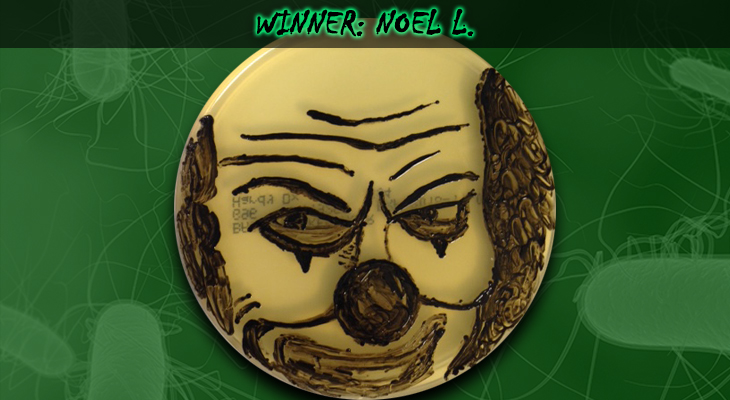 Noel-L-Winner