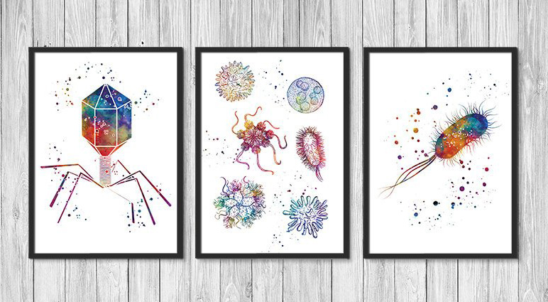 2018 Holiday Gift Guide for Microbiologists