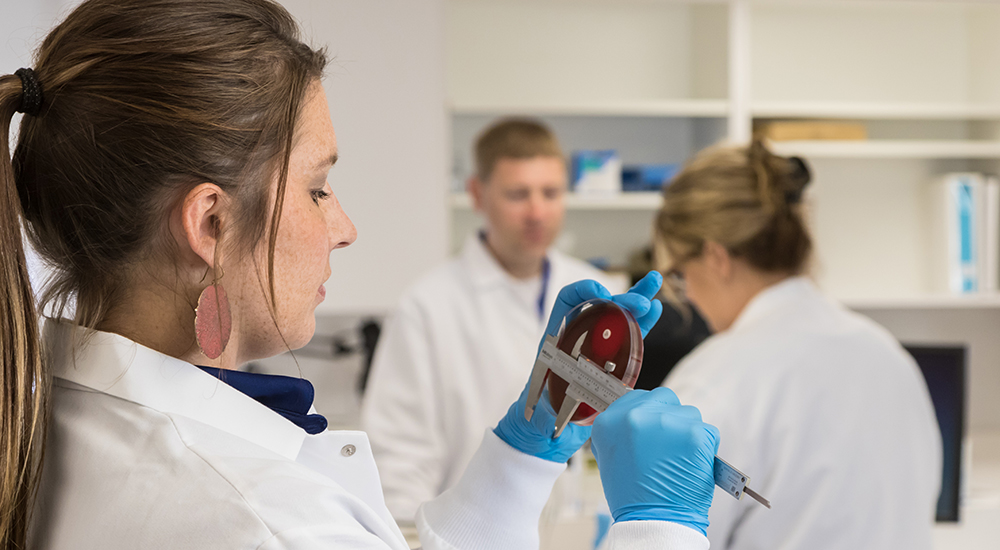 Woman performing disk diffusion with two others in background