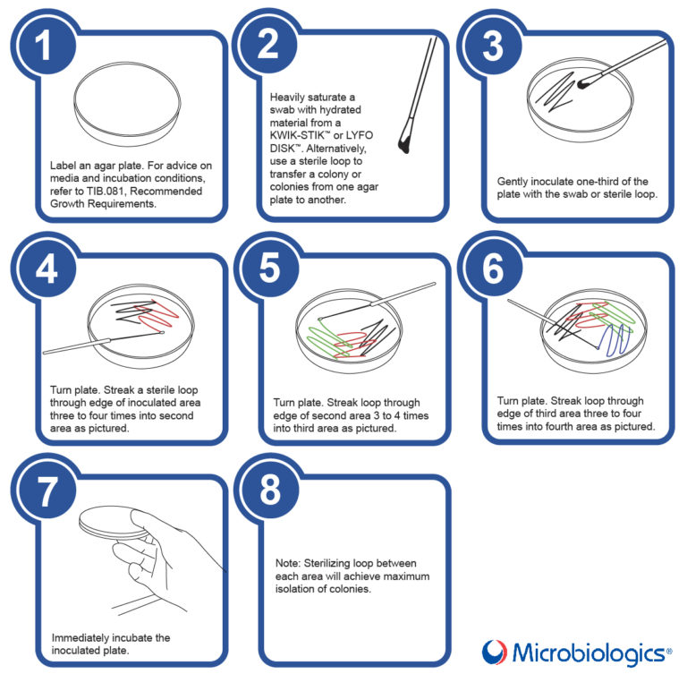 7 Streak Plate Method Best Practices Microbiologics Blog