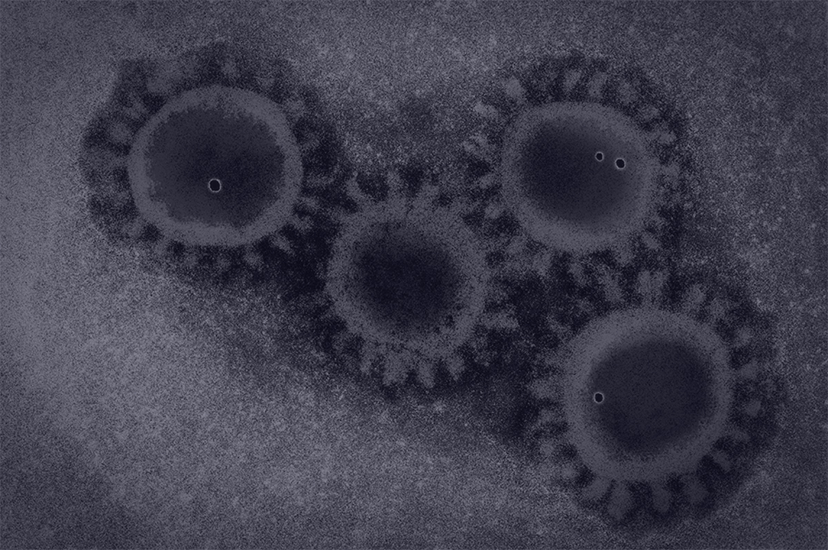 Importance of Testing a Positive Control When Performing a Diagnostic Assay