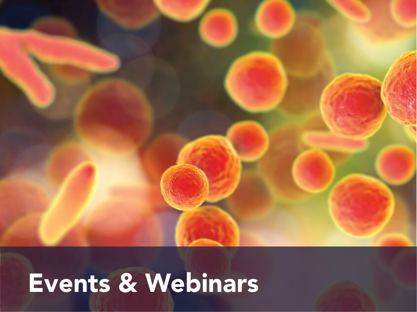 Events and webinars