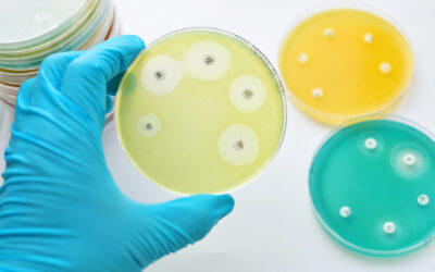 The Public Health Crisis of Antimicrobial Resistance