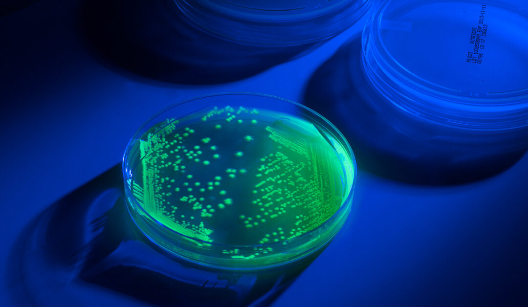 The Speed and Confidence of GFP Controls