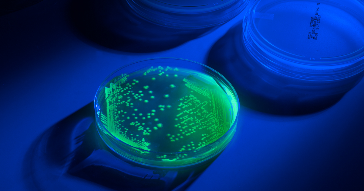 UV Biotag Eurofins