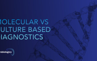 Comparing and Contrasting Traditional and Molecular Methods in Clinical Microbiology