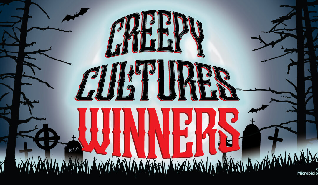 2022 Creepy Cultures Winners