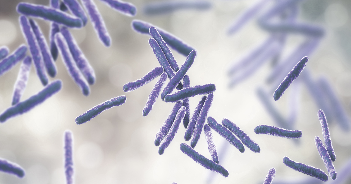 Mycobacterium tuberculosis