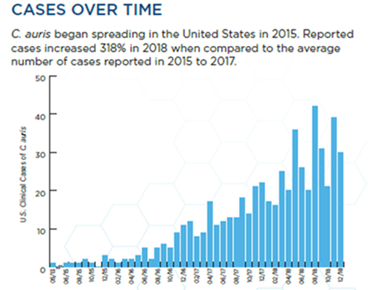 Candida auris over time