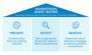 Adventitious Agent Detection