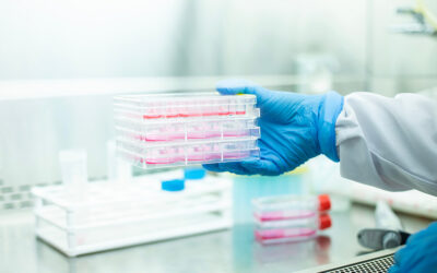 Ensuring Biopharmaceutical Safety: Integrating Viral Safety and Mycoplasma Testing