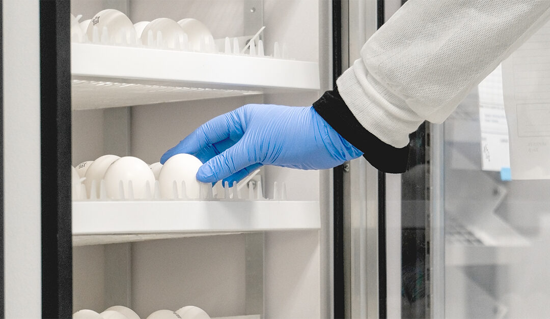 Inside Microbiologics’ Global Virology Center: How Custom Viral Stocks Power Vaccine and Antiviral Breakthroughs