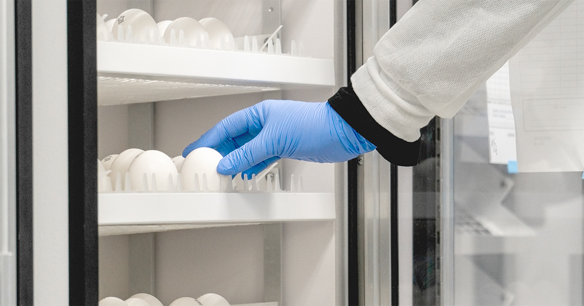 Gloved hand placing embryonated chicken eggs in an incubator for virus propagation at Microbiologics’ Global Virology Center.