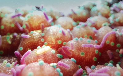 From Gut to Clinic: How Microbiome Science is Powering the Next Generation of Therapies