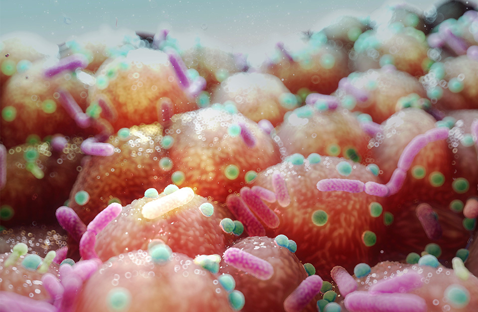 From Gut to Clinic: How Microbiome Science is Powering the Next Generation of Therapies