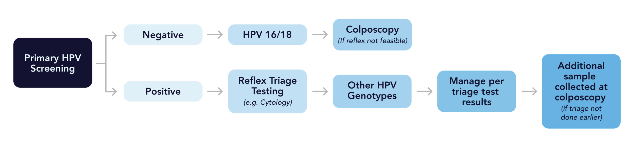 HPV Primary Screening Flowchart