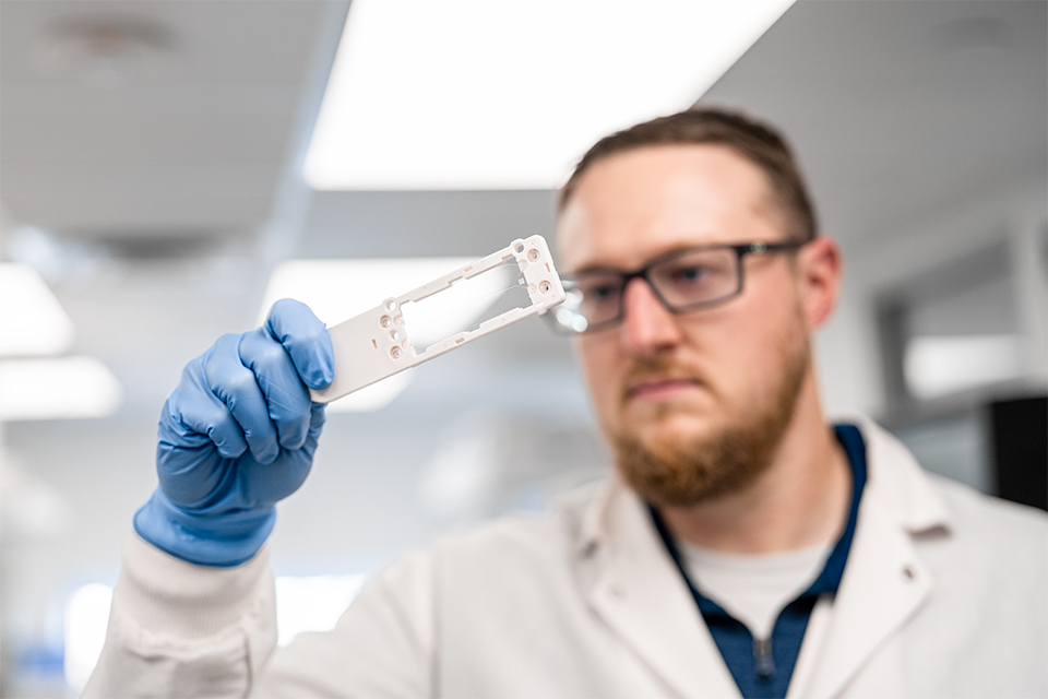 The Critical Role of Genomic Sequencing in Ensuring Integrity of Viral Stocks